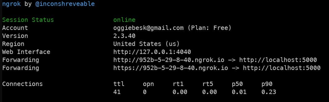 “ngrok output”