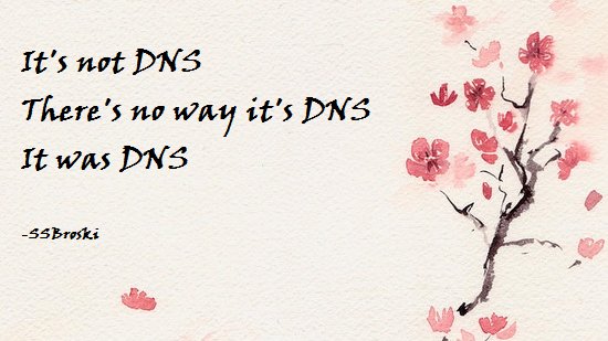 dns